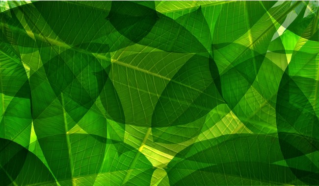 ロート製薬「BÉLAIR LAB」 × eスポーツグリーンの香気構成成分（Restful Green）はデジタル疲れの不眠に有効