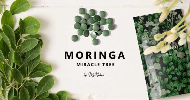 【海外セレブも注目のスーパーフード】環境にも人にも栄養を与える奇跡の木「モリンガ」を使用したタブレットが、販売予定価格の最大45％OFFでクラファン実施中！