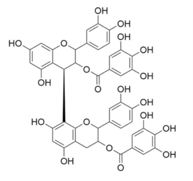 procyanidin B2 3,3′-di-O-gallate