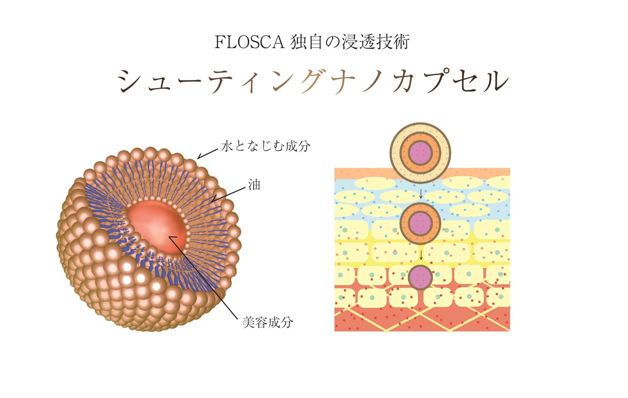 銭湯を愛する開発者が作った こだわりの〈銭湯タオル〉「Makuake（マクアケ）」にてクラウドファンディング開始！！