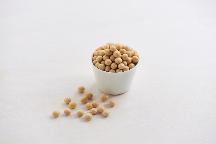 大豆由来の腸内代謝物「エクオール」含有素材「フラボセルEQ-5N」の製造能力増強