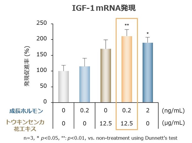 図1 GHとトウキンセンカ花エキスの併用によるIGF-1 mRNA発現促進作用