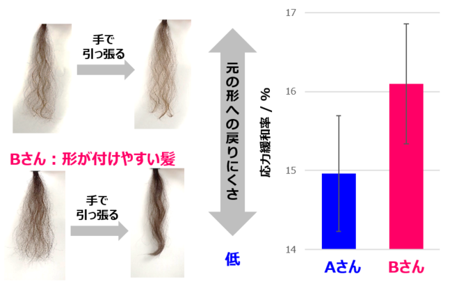 図2. 髪の形付けやすさと応力緩和