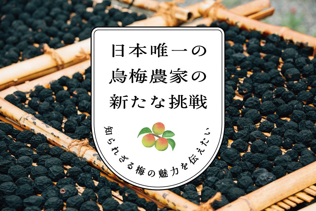 日本唯一の烏梅製造元が口紅開発のためにクラウドファンディングをスタート！　染物や薬の原料として古来から重宝された烏梅を後世に