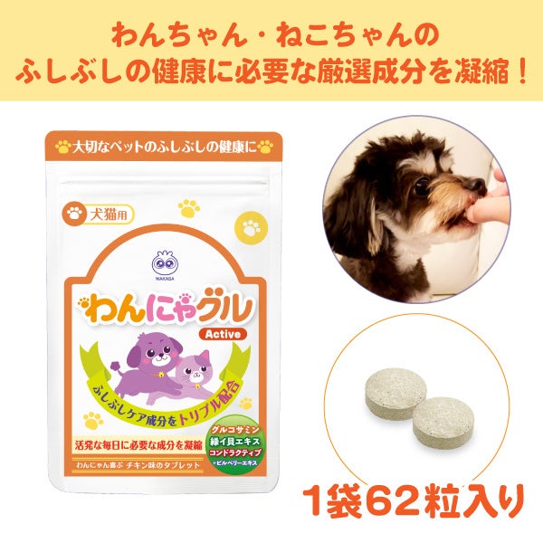 【2022年 アサヒグループ食品事業方針】“多刀流”による様々な「おいしさ＋α」の価値を提供することで、社会課題を解決し、お客様の「心とからだの健やかさ」の実現に貢献します