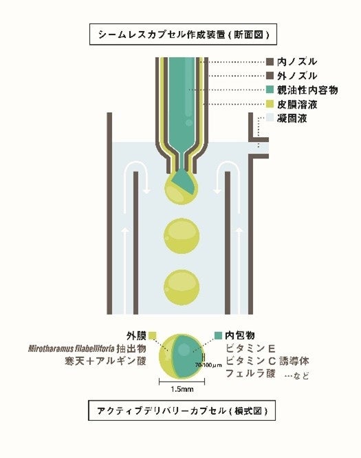 森下仁丹×L’ORĒAL「アクティブデリバリーカプセル」の共同開発について