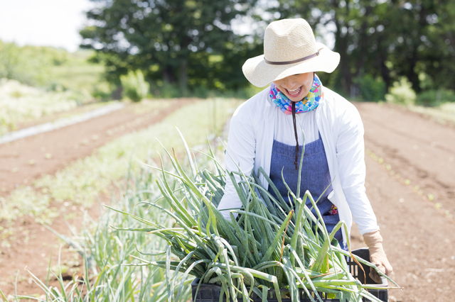 SDGsなコスメ「INAHOSakeLees」を石川県の農業に関わる女性の方へ無償提供
