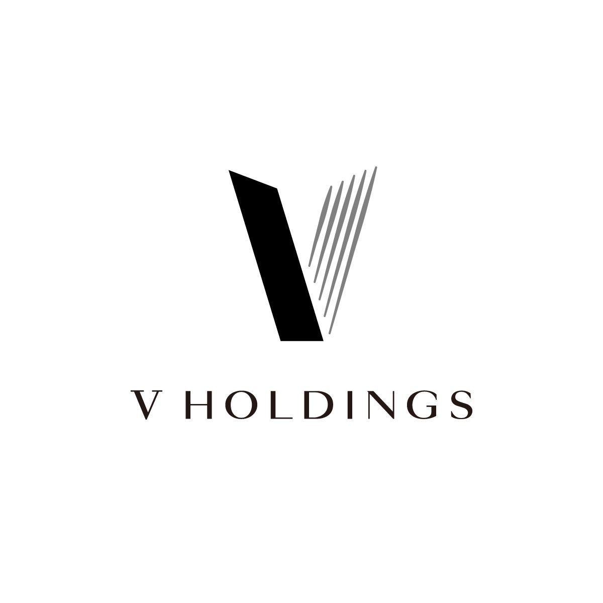 MNC New York株式会社／株式会社Be-A Japan、グループ経営体制へと移行し、新たにホールディングスカンパニー 「株式会社V Holdings」を設立。