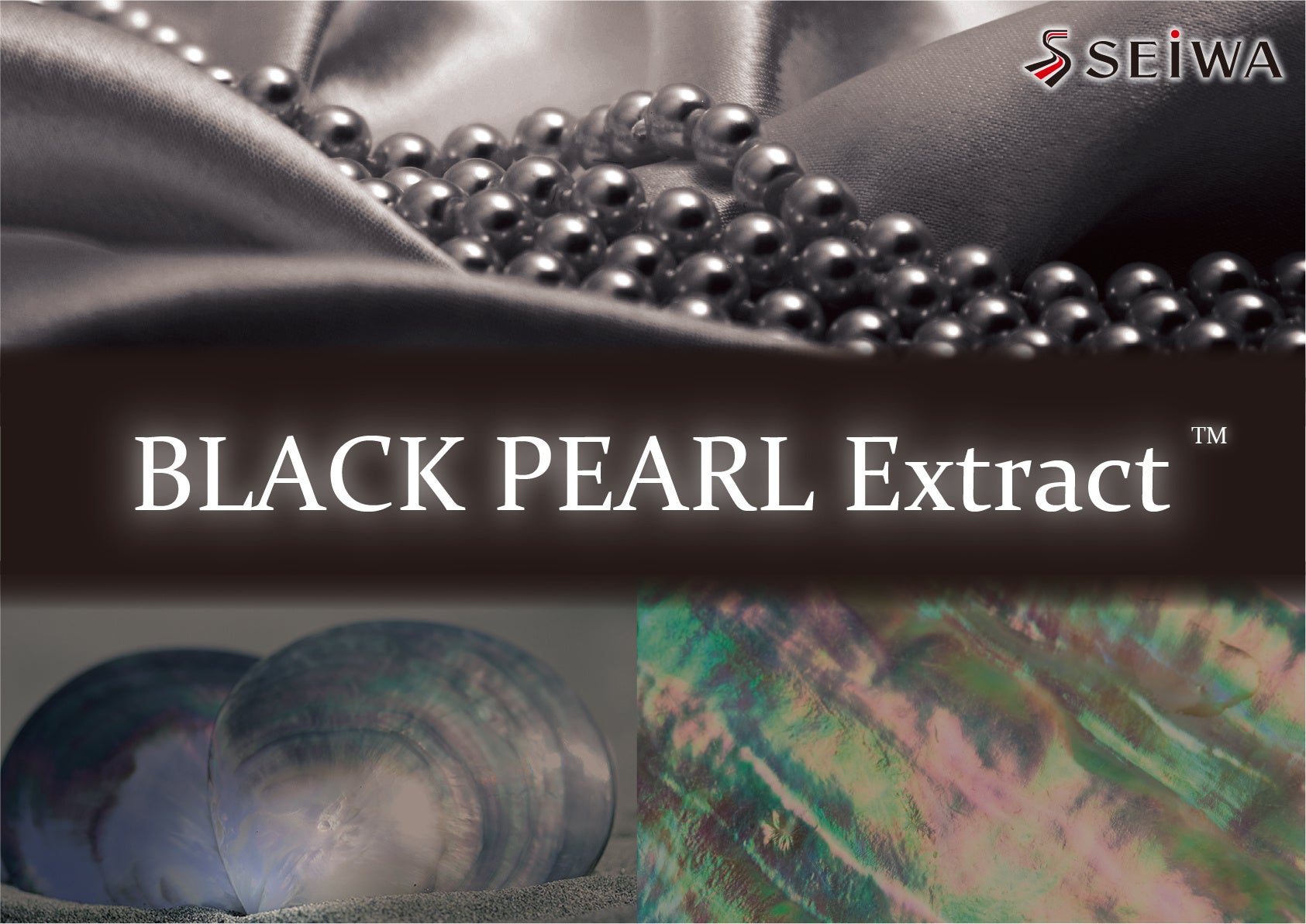 ㈱成和化成　廃棄される黒真珠の母貝からアップサイクルした美容成分を開発