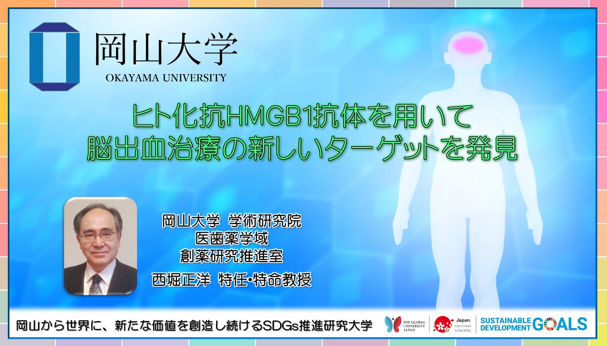 【岡山大学】ヒト化抗HMGB1抗体を用いて脳出血治療の新しいターゲットを発見