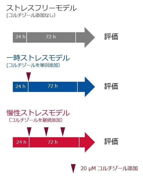 美容師の価値向上 お客様が喜ぶ「高単価」ヘアカットの考え方～客単価を２倍にできる方法～