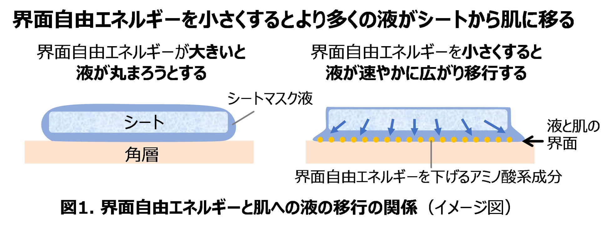 シートマスクに含ませた美容液をより多く肌に届ける技術　液と肌の「界面自由エネルギー」に着目