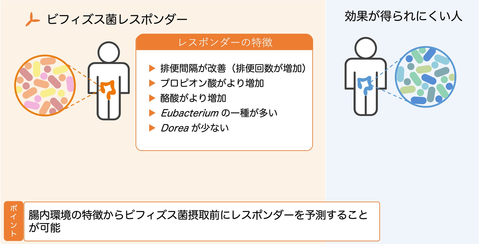 機械学習を用いることで腸内環境情報からビフィズス菌による便通改善効果を得られる人の予測に成功