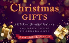 『クリスマスギフトセット』を期間限定で販売！／ 髪に蓄積された静電気は大きな髪ダメージに発展!?＞冬の乾燥時は要注意！髪の静電気トラブルを解説