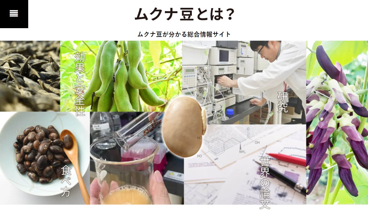 【ムクナ豆の総合情報サイトオープン】ムクナ豆の栽培・研究のリーディングカンパニー紀州ほそ川創薬が発信！ 『ムクナ豆とは？』