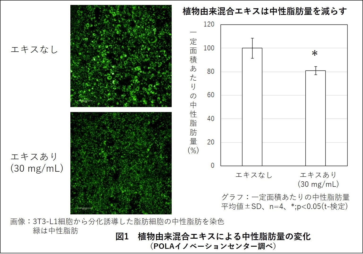 脂肪細胞の中性脂肪を減らす植物由来混合エキスを発見