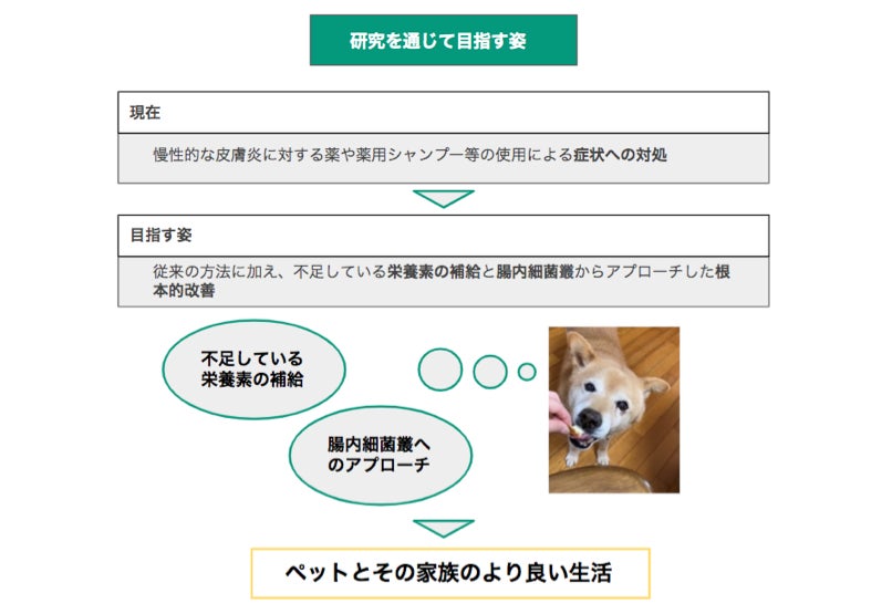 スキンケアシリーズ「ツルリ」から「ゆるっ」「すぽっ」「きゅっ」3ステップで毛穴のお手入れを！