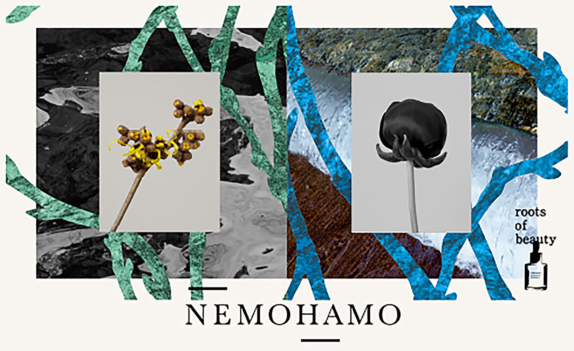 NEMOHAMO がアートディレクターに川上恵莉子氏を起用し、「美しさの根源」を問う新キービジュアルをローンチ