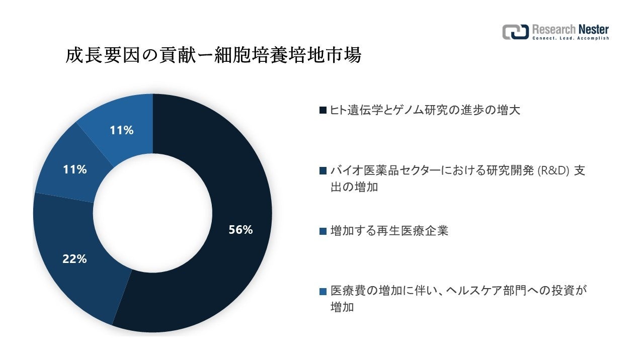 高分子砂市場（Polymeric Sand Market）に関する調査は、2022 年のランドスケープを理解するために実施されました。