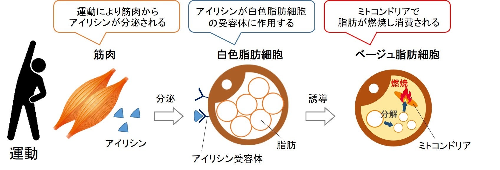 95％がお風呂好き！7500人に聞いた入浴習慣