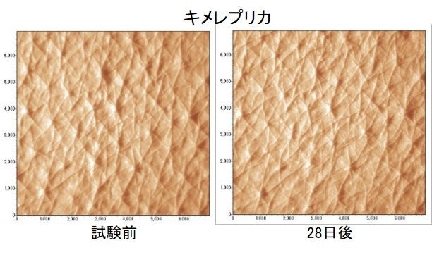 自由を掲げるパリ発の香水ブランド「Bastille（バスティーユ）」が2023年5月18日、日本初上陸。香水業界の従来の慣習を打ち破る「透明性」をポリシーとする香り6種が登場