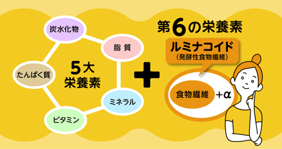 【女性100名アンケート】実際に行っているスタイルキープ方法とその効果についての調査結果【調査レポート】