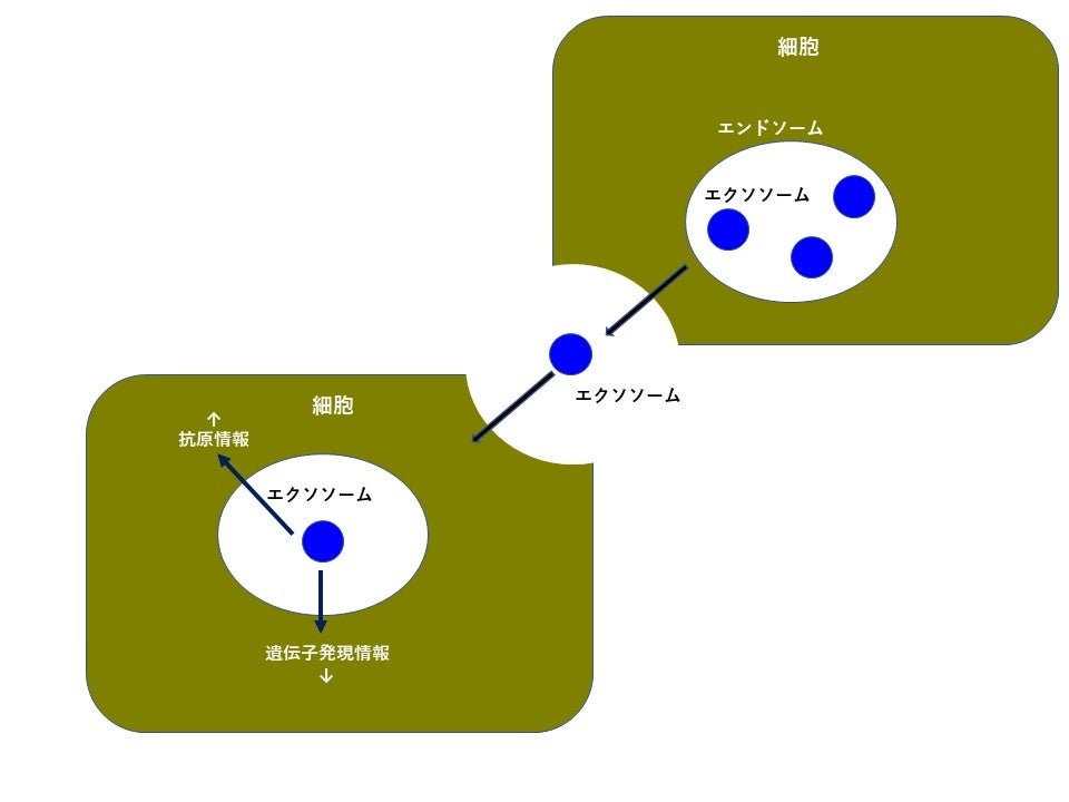 日本美容創生が進める美容室を基点にした“更年期エコシステム”の実証実験が渋谷区で採択。