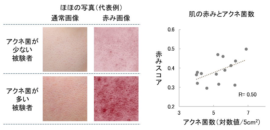 ダンヒルバーバーから期間限定で父の日に最適なギフトチケットを発売