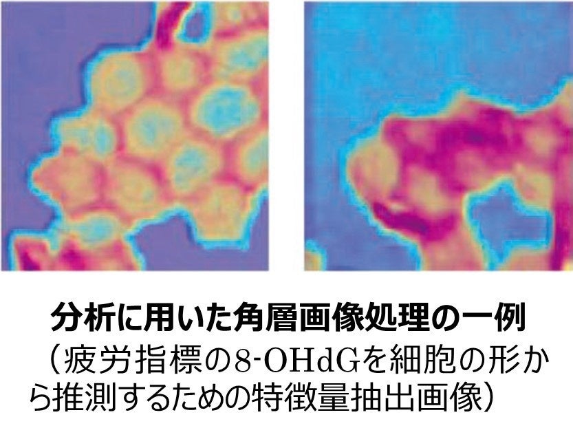 HENRYが提案する、新しいヘアケアの形。未体験の髪の変化！究極のヘアケア【ヘアブースター】。トリートメント前の新発想が髪を驚きの変容へと導く