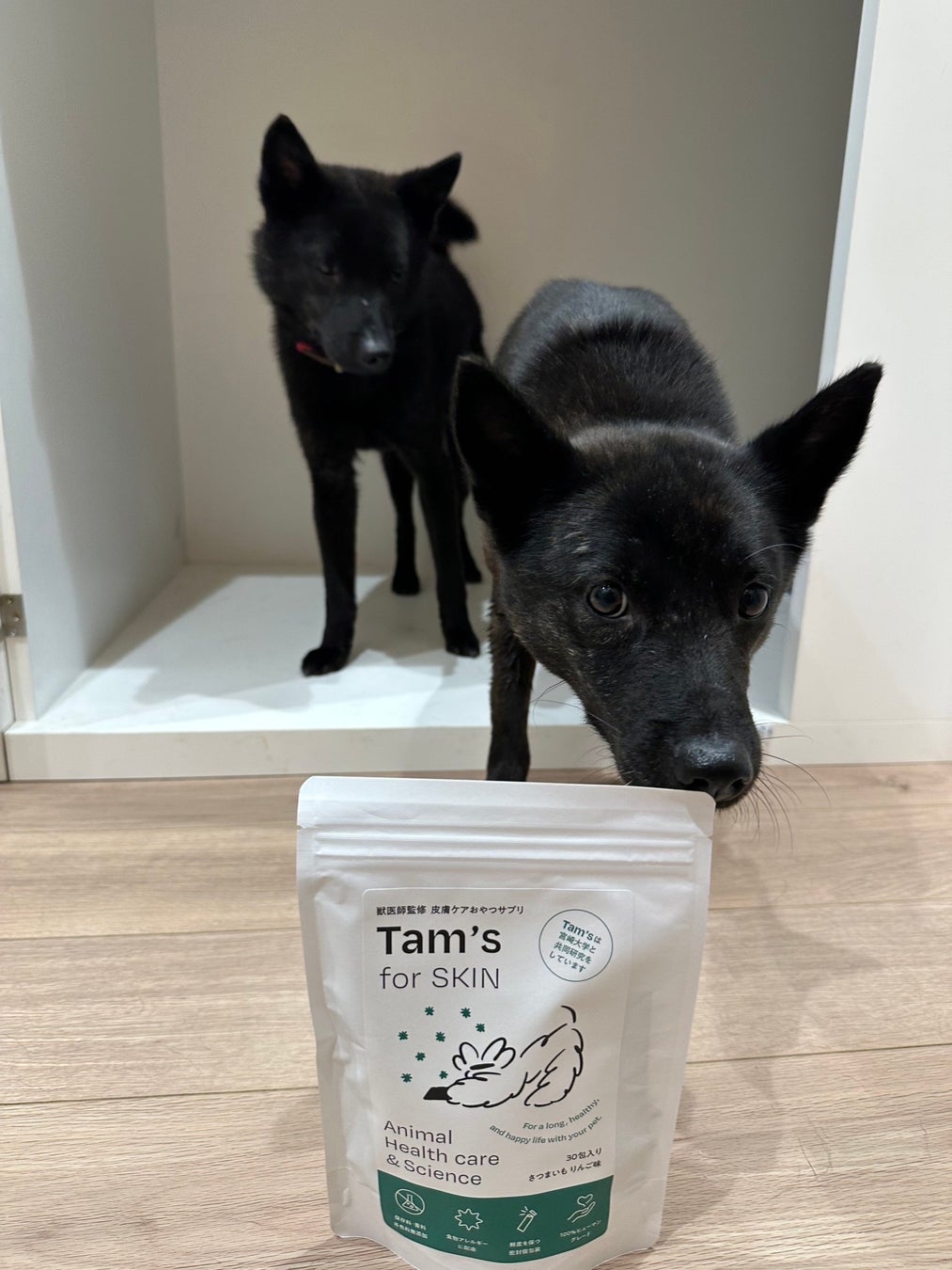 HOGOKEN TOKYOの保護犬へTam’s for SKINを無償提供開始