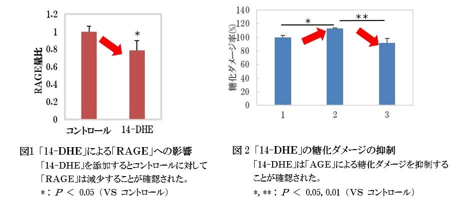 HADANATURE（肌ナチュール）の姉妹ブランド「sodatel（ソダテル）」誕生。液だれせず生え際まで狙い撃ちできるフリーズドライ処方の「薬用炭酸ヘッドスパ育毛剤」6/17広告実施し発売開始！