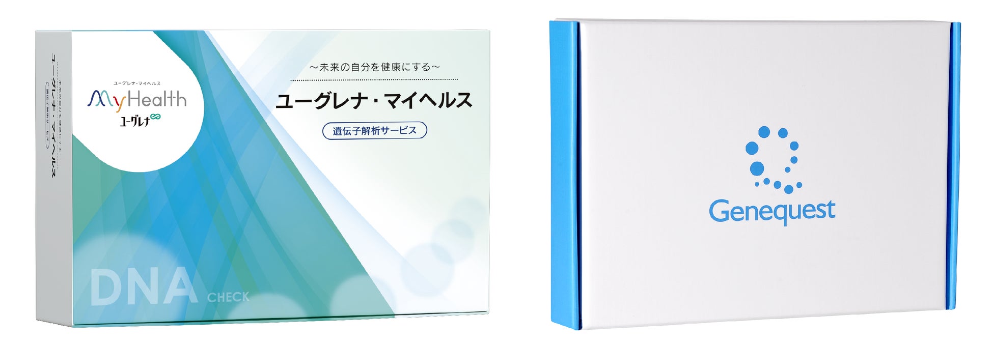 ＜「ミセスユニバースジャパン2023」に協賛＞新たな魅力を引き出す「フォンテーヌ ビューウィッグ賞byアデランス」を新設