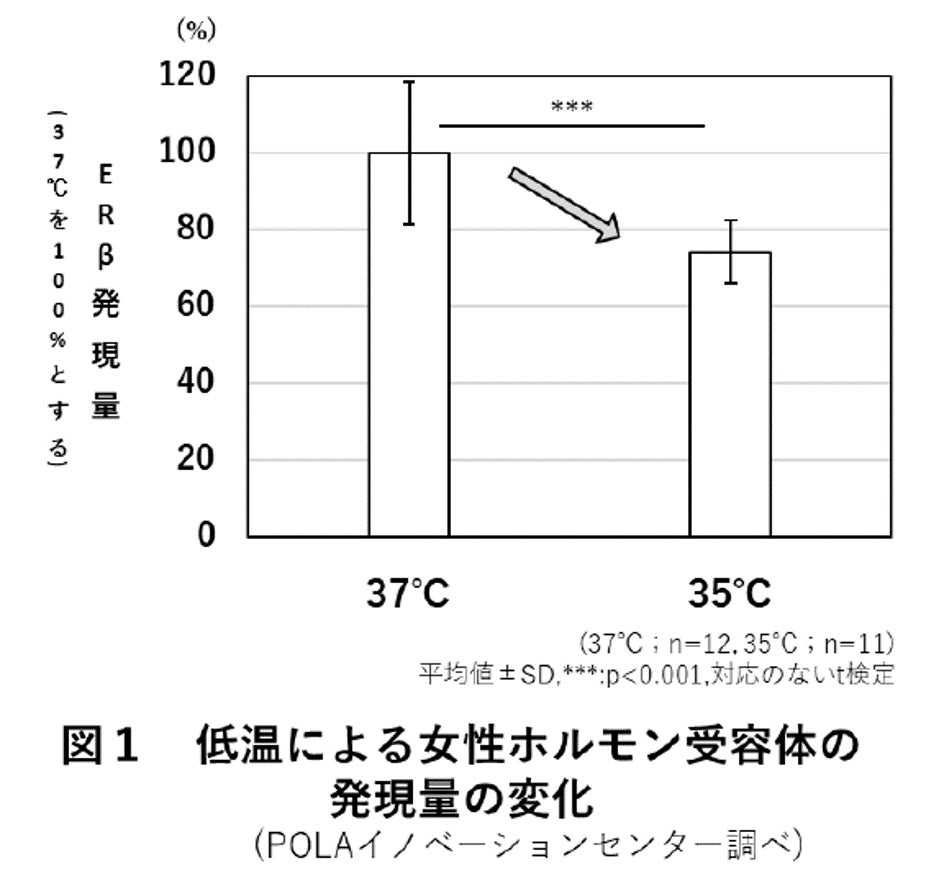 「導入美容液in」の「いち髪 THE PREMIUM」から “気分温まるしあわせな香り”のシャンプー＆トリートメント限定発売