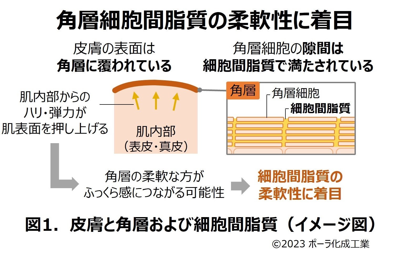 マインドフルネス状態を脳波計測から推定する技術を開発