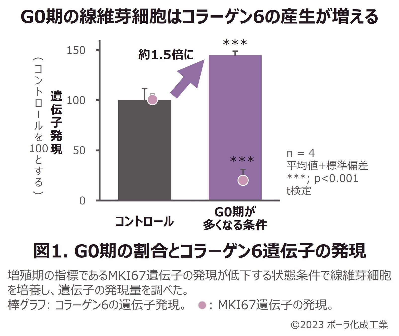 うるおいに満ちたハリ肌を育むスキンケアシリーズ「アクティアージュ」が、シトルリンなどの美容成分を豊富に含む独自の発酵スイカ由来成分を配合し、7月1日にリニューアル発売