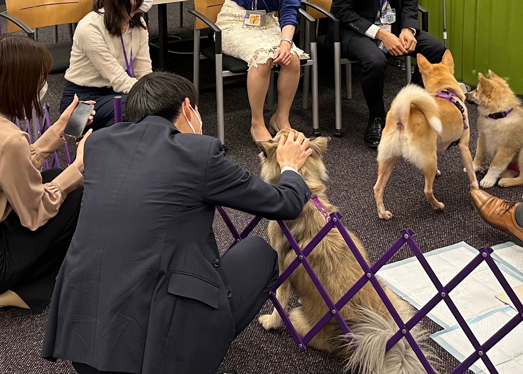 ＜アデランス研究発表＞第65回 日本脂質生化学会において毛髪中の脂質分析に関する研究成果を発表