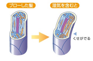 【キャンペーン情報】先着500名様！人気のサプリ約1ヶ月分プレゼント「リアルサプリ定期便キャンペーン」を開始しました！