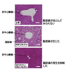 シリーズ累計100万本突破の人気ヘアケアブランド【Promille】より『プロミルキンモクセイ限定セット』新発売