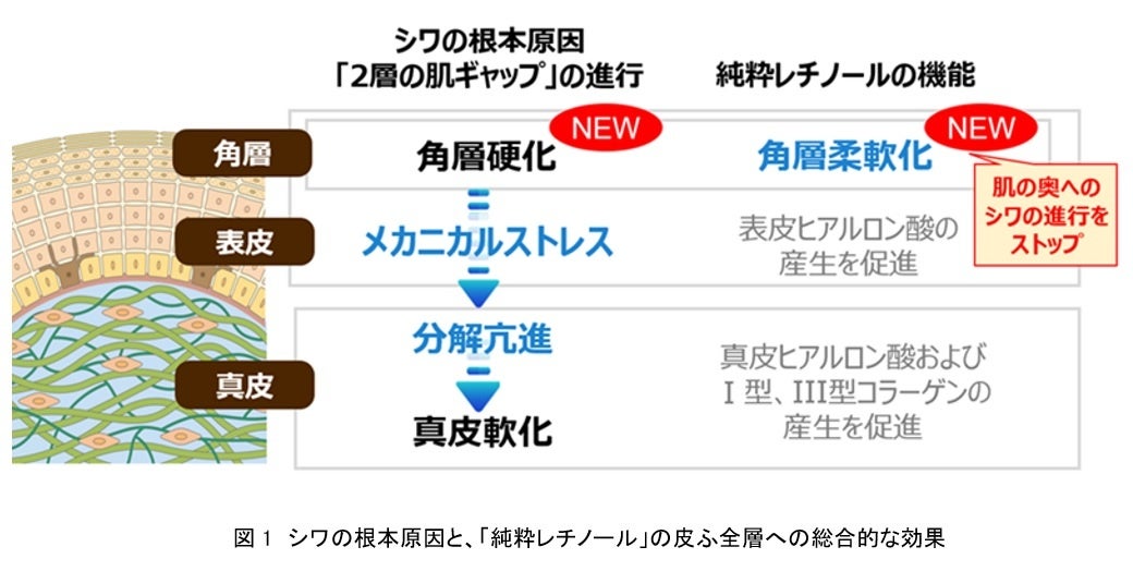 「ユースキンhana ハンドクリーム　キンモクセイ」新発売