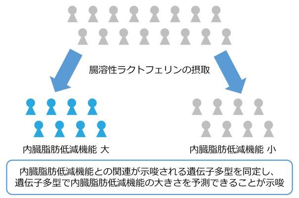 バノバギコスメティック, 美 最大ビューティー博覧会’2023 北米 ラスベガスコスモプロプ’ 参加