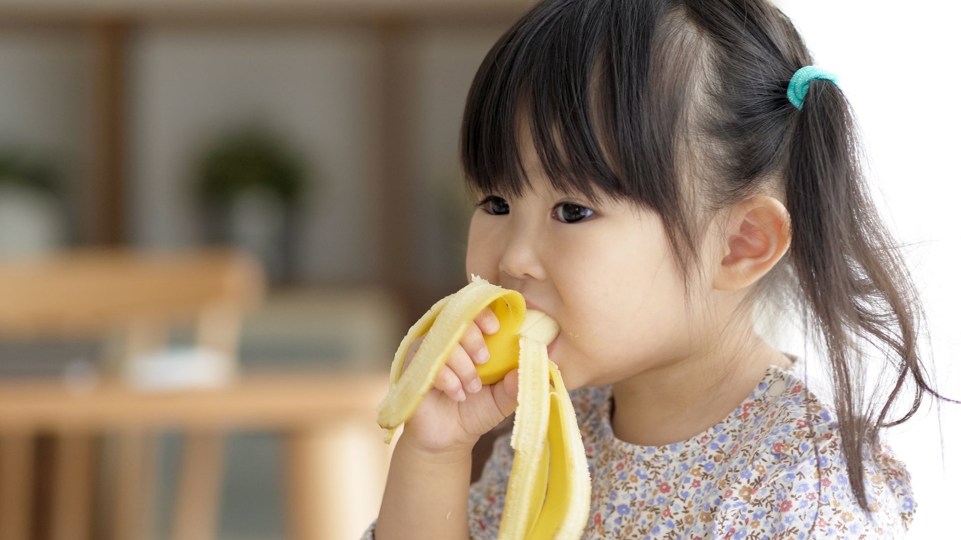 セルプロジャパン株式会社の幹細胞研究から誕生したヒト羊膜由来幹細胞順化培養液配合美容液「MedicaCell（メディカセル） HASS」発売。