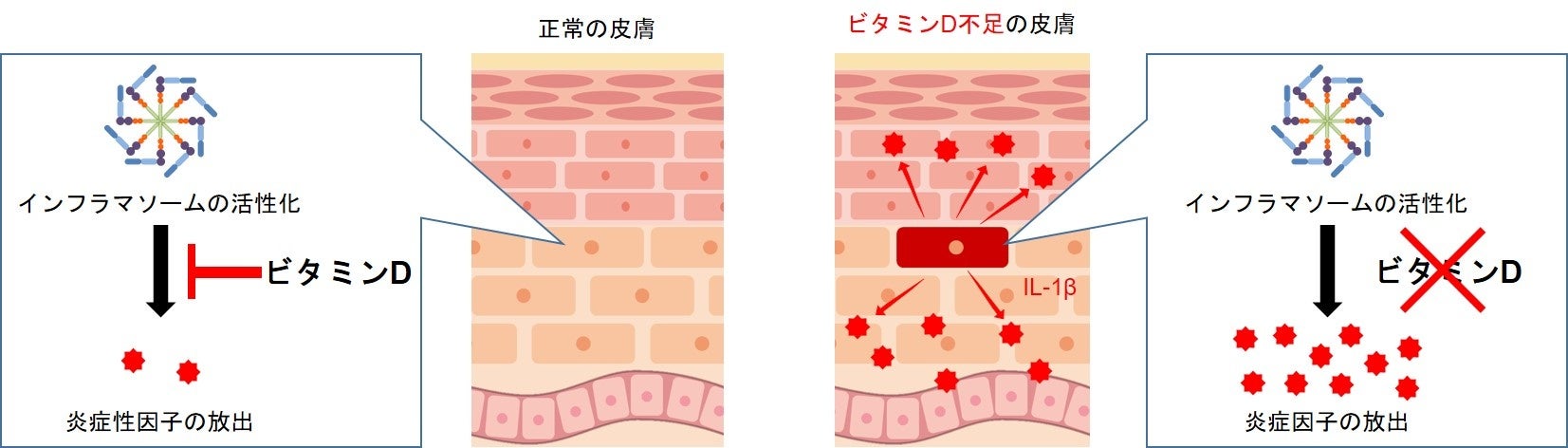 コーセーが新たにプロゴルファーの吉田優利選手とスポンサー契約を締結。