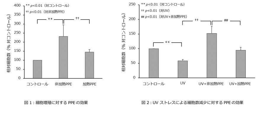 【研究報告】「豚由来プラセンタエキスの加熱処理に対する影響と新規機能性」当社独自製法の非加熱プラセンタエキスの優位性を確認
