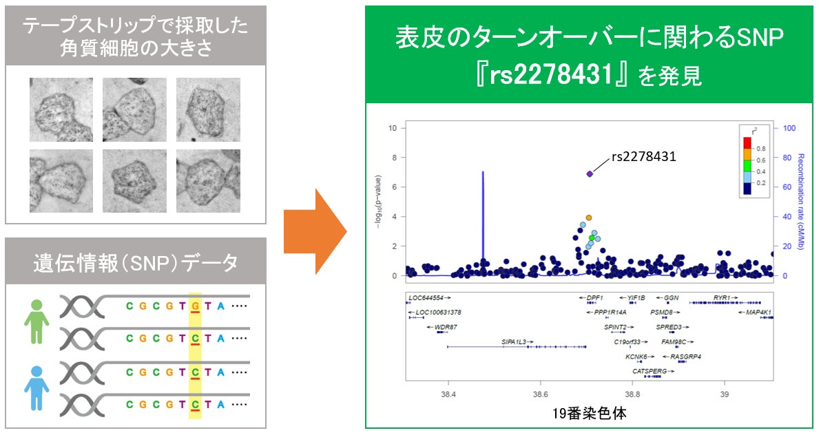 愛知県発　美容室 gigsのWケラチン配合のヘアケアシリーズ
「4reprime」、2023年夏の実店舗売上が4,500,000円を突破