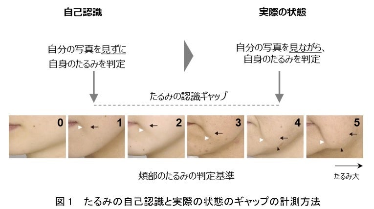 子育てと仕事の両立支援により、企業として少子化対策に取り組む　社員へのベビーシッター券配布を開始