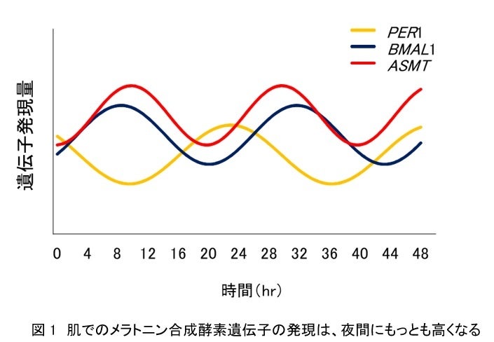 美容医療経験者の63％が、不満・不安具定的にどんなクレームが？その原因は？関連学会や実力派医師の主導で、問題解決の動きも活発化。