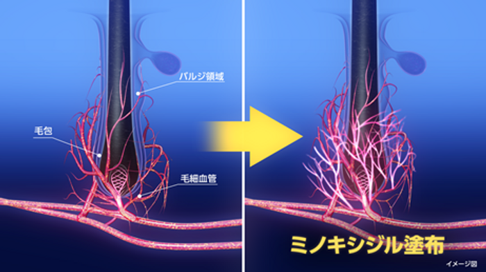 韓国人気ヴィーガンコスメブランド「AROMATICA(アロマティカ)」より肌のトーンアップにアプローチ!ビタミンCセラム新登場！