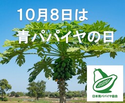 【岡山大学】岡山県内の感染状況・医療提供体制の分析について（2023年10月6日現在）