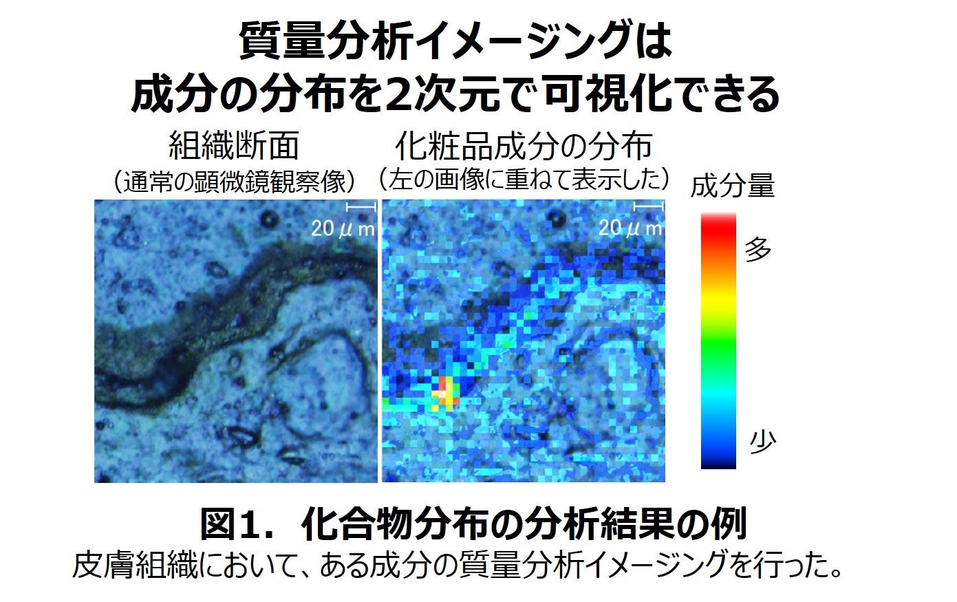 筋トレ後の栄養回復に！効率的にコンディションをサポートする新商品が誕生!アンビーク オールインワングルタミン 10月30日(月)発売