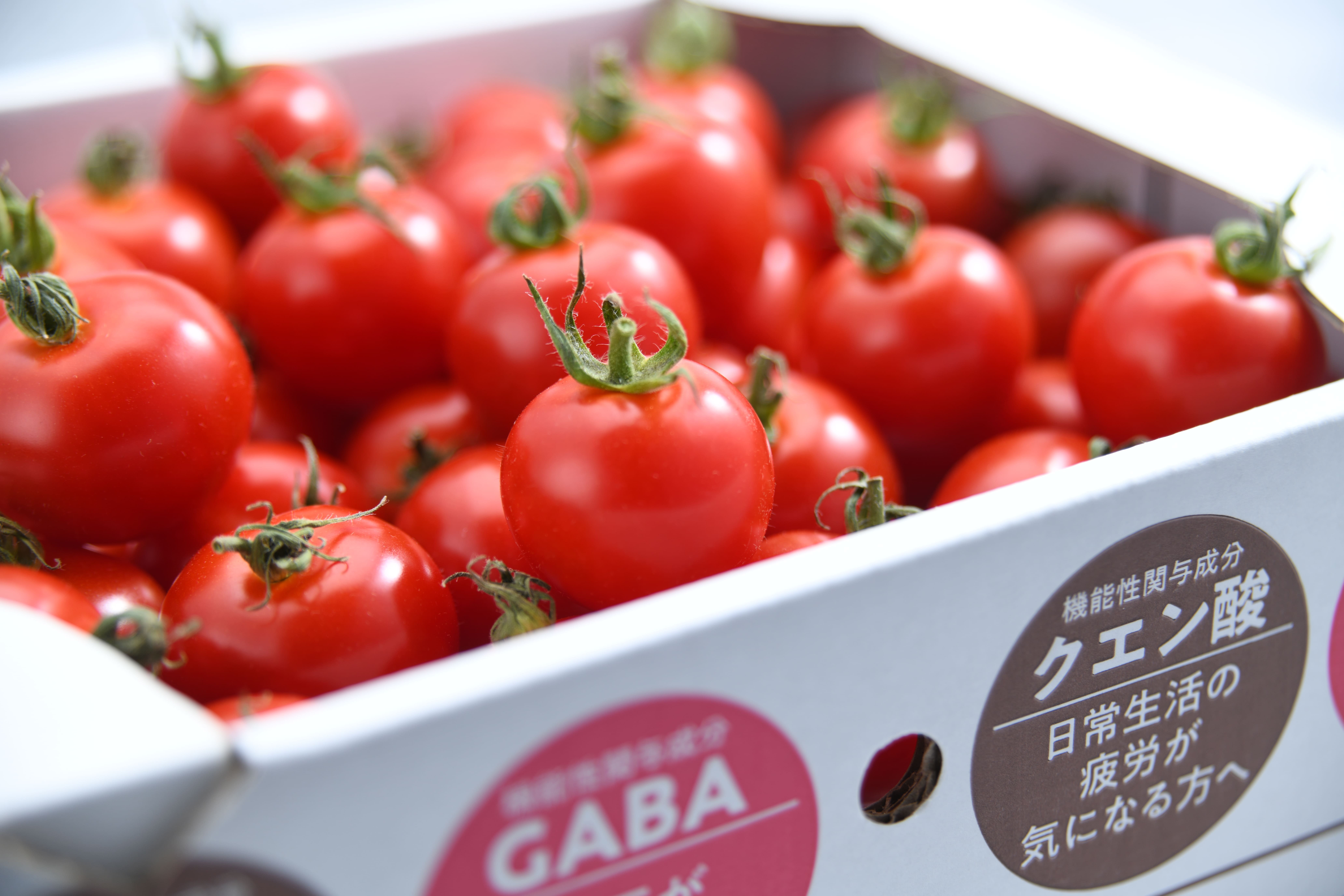 大阪のゴム製造会社が農業参入して栽培した
機能性表示食品登録「Tricho(トリコ)」トマトの試食販売会を
11月4日・5日に伊勢丹新宿店で実施